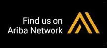SAP Business Network Discovery